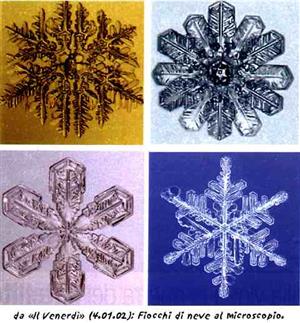 Quattro fiocchi di neve diversi visti al microscopio (da "Il Venerdì di Repubblica" - 4-1-2002)